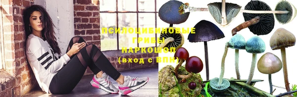 твердый Алзамай